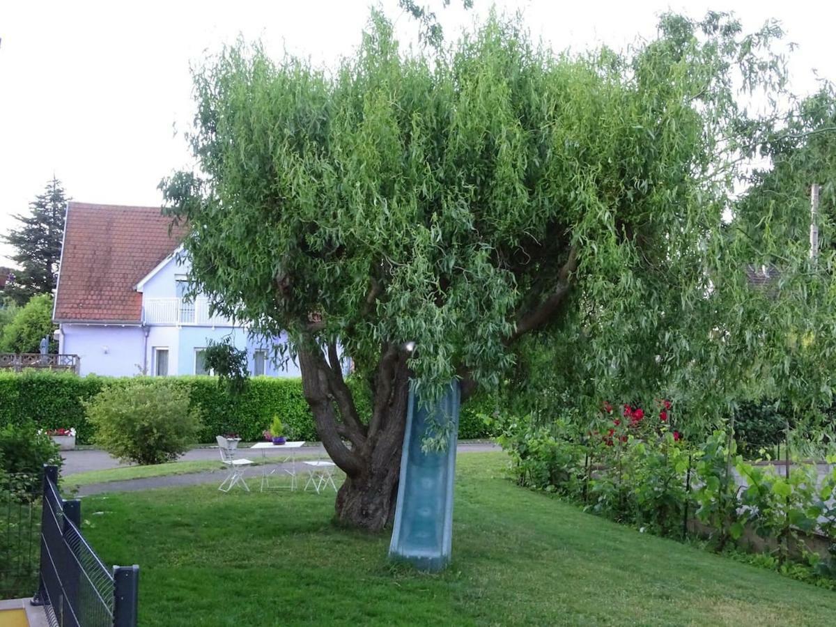 Tiny-House Villa Wihr-au-Val Eksteriør bilde